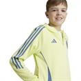 ADIDAS ajax tkhody it5068