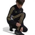 ADIDAS messi pnt y iz2994