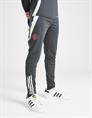 ADIDAS mufc eu tr pnty is8088