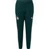 CASTORE feyenoord pro players training pant wz pockets tj7065wp-097