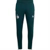 CASTORE feyenoord pro players training pant wz pockets tm7065wp-097