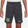 NIKE fcb y nk df strk short kz3r fq2644-062