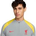 NIKE lfc m nk df strk drill top k3r fq2624-078