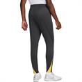 NIKE lfc m nk df strk pant kpz3r fq2454-070