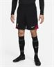 NIKE lfc m nk df strk short kz fn9392-010