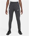 NIKE lfc y nk df strk pant kpz fd7111-060