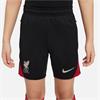 NIKE lfc y nk df strk short kz fn9953-010