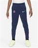 NIKE psg lk nk df acdpr pant kpzesn fq0085-410