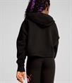 PUMA ess logo cropped hoodie g 671134-01