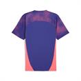 PUMA individualfinal jersey 659507-01