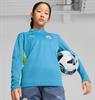 PUMA mcfc training 1/4 zip top jr 777530-11