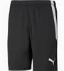 PUMA teamliga shorts 704924-03